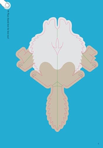 Paperfold Wild Animals: 10 Amazing Punch-Out-and-Fold Paper Creatures (Paperfold, 1)