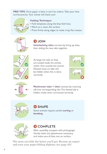Paperfold Wild Animals: 10 Amazing Punch-Out-and-Fold Paper Creatures (Paperfold, 1)