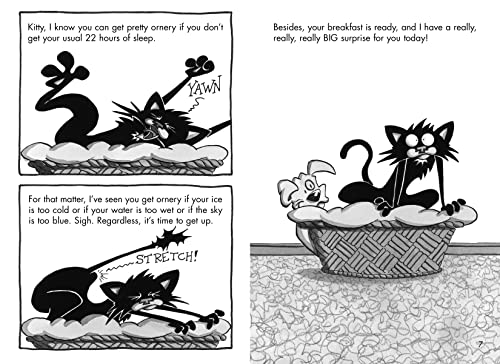 Bad Kitty Camp Daze (paperback black-and-white edition)